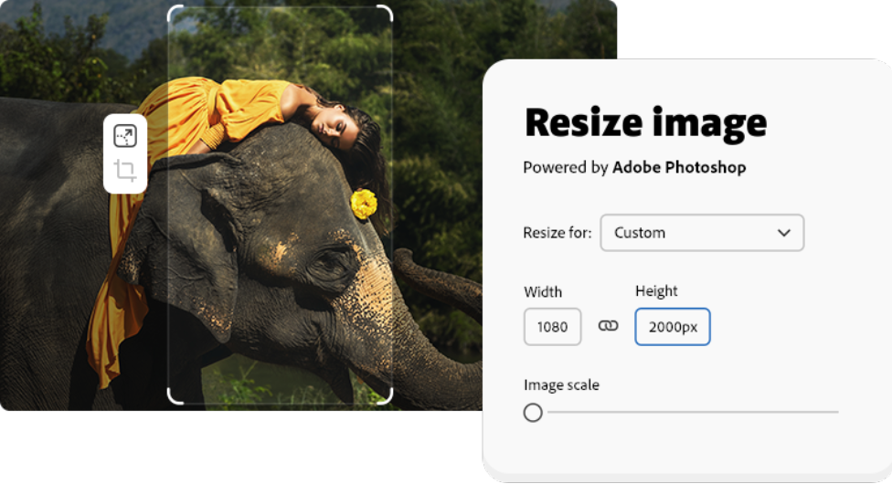 Free Image Resizer: Resize Photos Online | Adobe Express