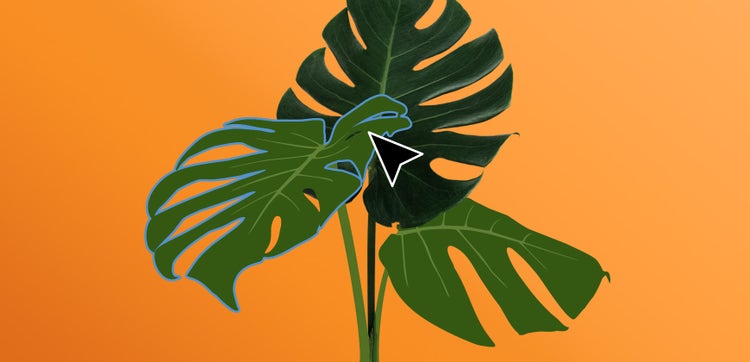 Drawing of leaves with a cursor