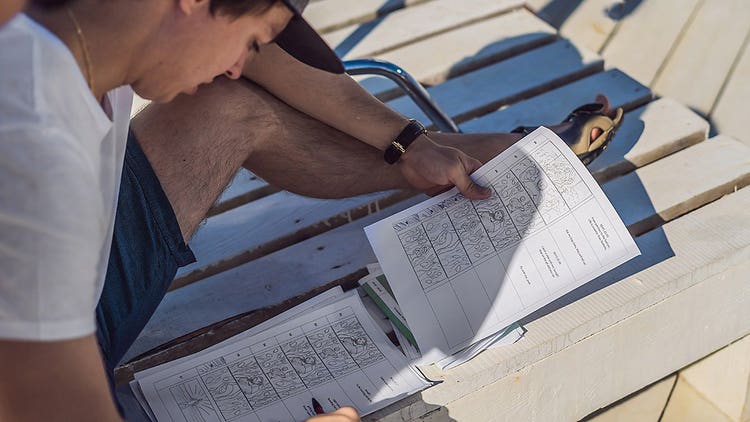 Director reviewing the storyboard for a video production