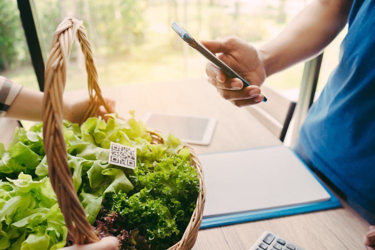 Smartphone che inquadra un QR code appoggiato su un cesto di insalata.