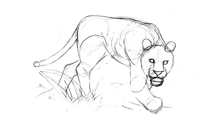 Wireframe sketch of a tiger