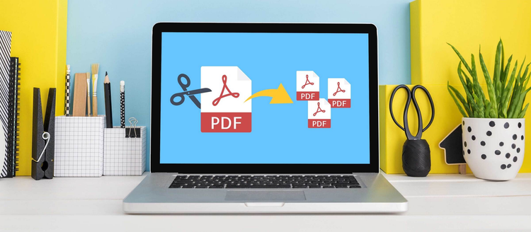 【無料】MacでPDFを分割・ページを抽出する簡単な方法を解説
