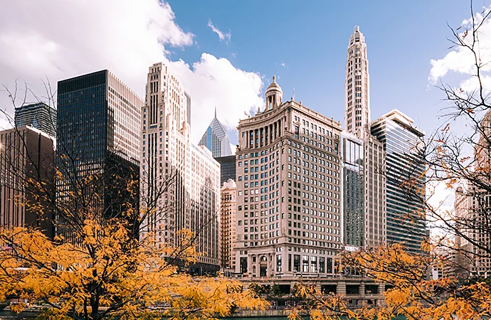 Photo looking through trees at a cityscape