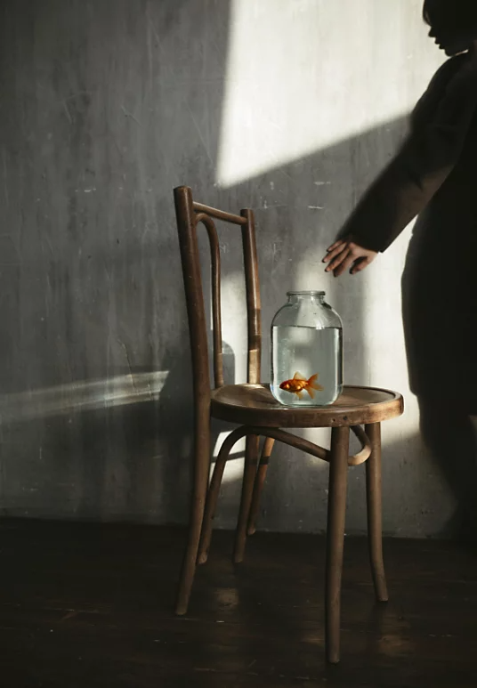 A goldfish in a glass jar that is sitting on a chair, with a person's shadow in the background