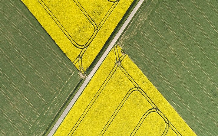 Geometric lines in parallel crop fields