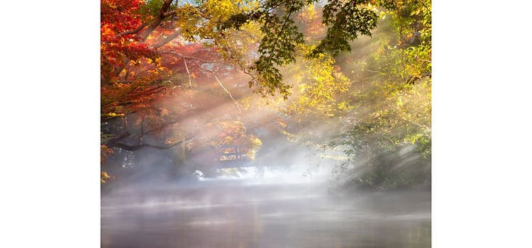 太陽光がきれいな風景写真