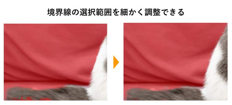 Photoshopなら動物の毛並みも細かく選択できる