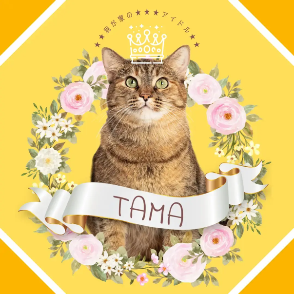 A cat with a crown and flowers around it Description automatically generated