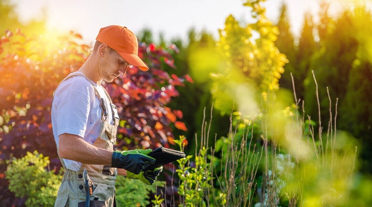 Male contractor in an orange hat and overalls reviewing a landscape contract on a tablet while outdoors