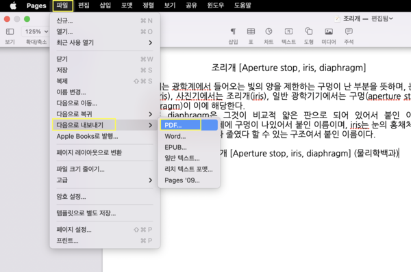 맥북 pages 파일 변환을 위해 PDF로 내보내기