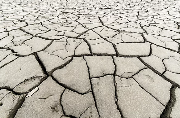 Dried dirt with cracks running through it creating jagged, uneven, abstract patterns