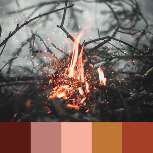 Color Palettes | Earthy 3 101가지 컬러 조합 디자인 트렌드