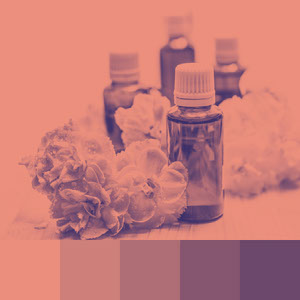 Color Palettes | Duotone & Monochromatic 7 101가지 컬러 조합 디자인 트렌드