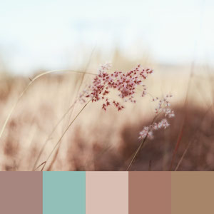 Color Palettes | Earthy 4 101가지 컬러 조합 디자인 트렌드