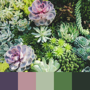 Color Palettes | Earthy 9 101가지 컬러 조합 디자인 트렌드