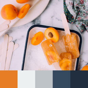 Color Palettes | Clean & Modern 6 101가지 컬러 조합 디자인 트렌드