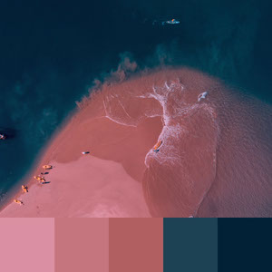 Color Palettes | Duotone & Monochromatic 9 101가지 컬러 조합 디자인 트렌드