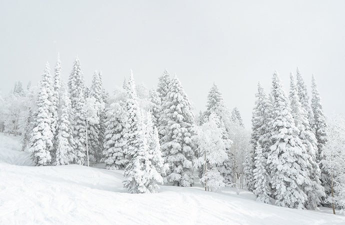 Peaceful nature shot of a silent, snow-covered hillside.