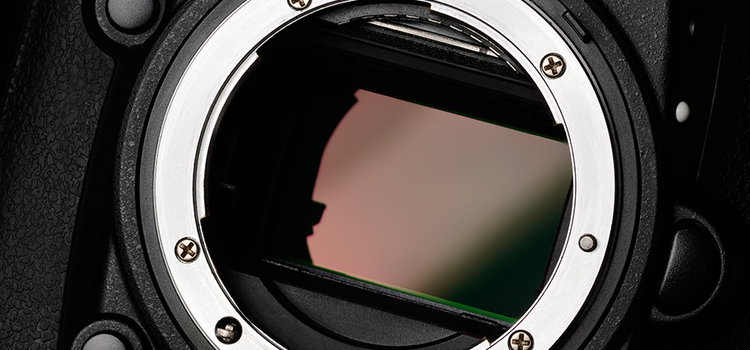 Close-up photo of a DSLR camera sensor