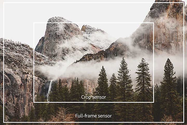 Rocky mountainscape and forest