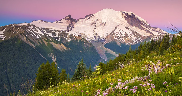 Snow-covered mountainscape in the middle of a forest and grasslands