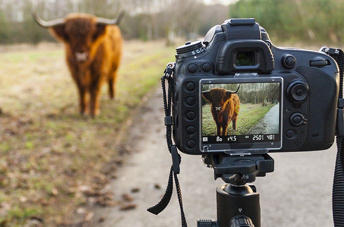 Using a digital camera as a prop in a small depth of field photo