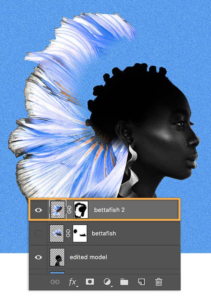 A photo of a betta fish being edited on a person's head in Adobe Photoshop.