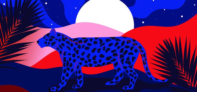 Ilustrasi seni vektor seekor cheetah di bawah sinaran bulan.