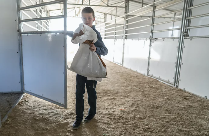 A kid holding a bag in a horse stable