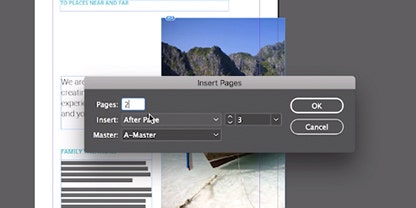 Screenshot of InDesign user interface