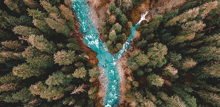 Aerial shot of a fork in a river surrounded by forest trees.