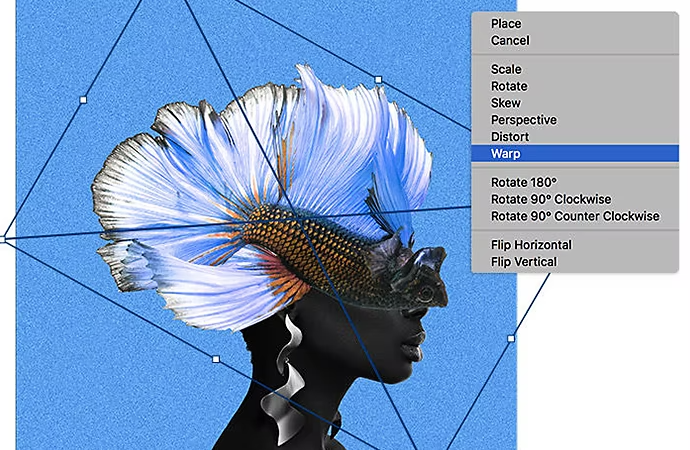 Bettafish image overlaid over image of women with the Adobe Photoshop Warp interface
