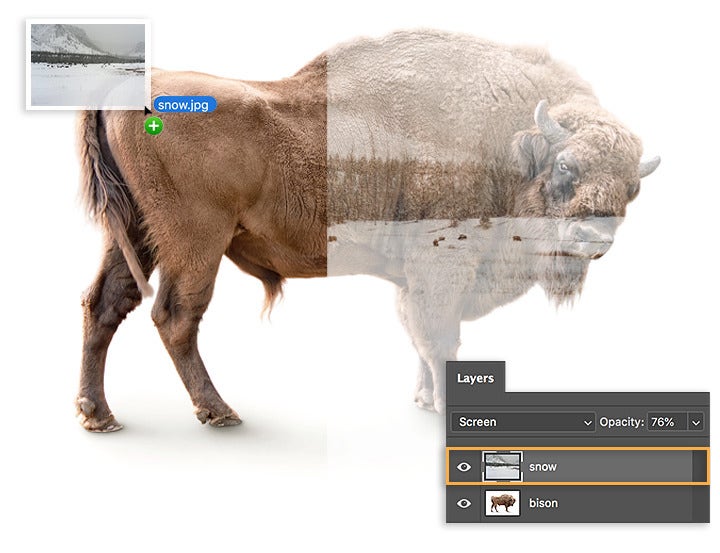 Before/after shows original bison image and the final composite with snow image added, blending mode set, and Opacity reduced