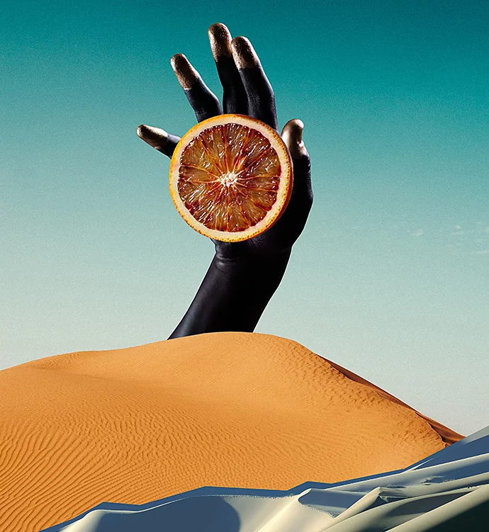 Photomontage of desert, hand, and orange.