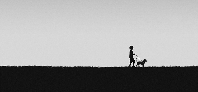 Silhouette of a person walking a dog along a grass horizon as an example of negative space photography