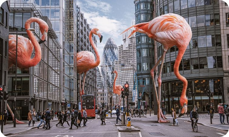 Composited image of huge flamingos in a city center