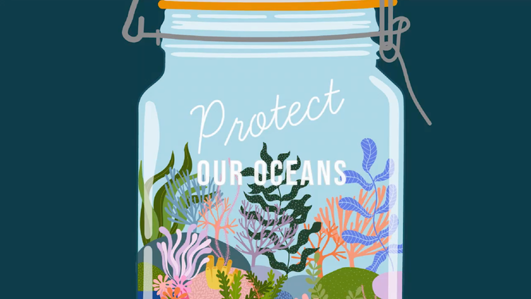 https://main--cc--adobecom.hlx.page/media_16bdafdcf1b8850d9ada19a7f2be64fad73cbb911.mp4#_autoplay1#_hoverplay | drawing of a mason jar holding an aquarium and engraved with the text "Protext our oceans"