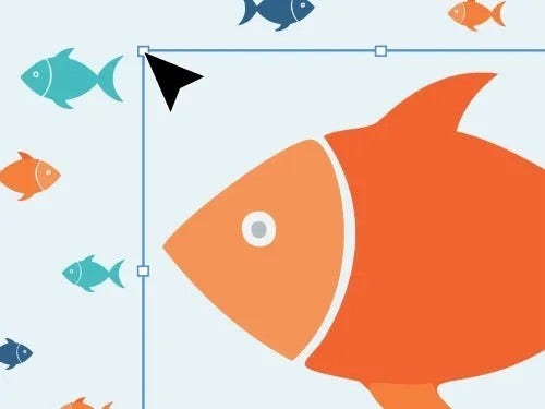 drawing of an orange fish being scaled in Illustrator with smaller fish in the background