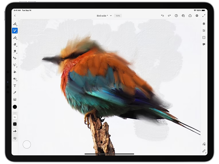 image of a fluffy bird being edited in Photoshop on an iPad