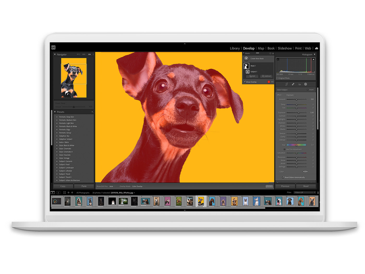Desktop photo editor - Adobe Photoshop Lightroom Classic