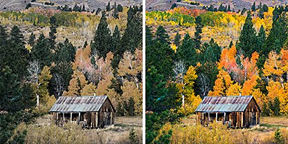 Two identical photos side by side of a cabin in a woodland area, but the photo on the right has the Adobe Photoshop Lightroom &quot;Cross Process&quot; preset applied to it
