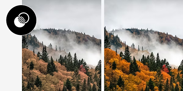 Two identical photos side by side of fog rolling over a forest, but the photo on the right has a fall preset applied to it