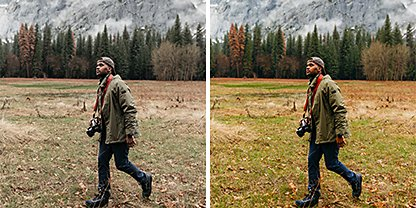 Two identical photos side by side of a person walking through a field with a forest in the background, but the photo on the right has the Adobe Photoshop Lightroom &quot;Natural&quot; preset applied to it