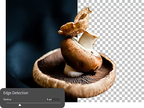 Edge Detection slider superimposed on a photo of a mushroom.