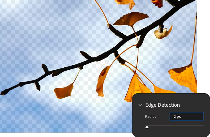 Edge Detection setting superimposed on an image being edited in Photoshop.
