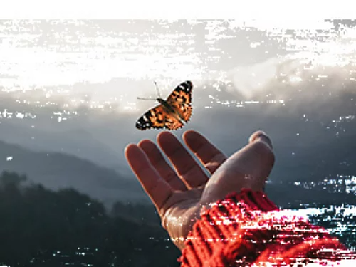 Photo of a hand releasing a butterfly in a mountain setting is modified with detailed texture