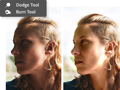 Dodge and Burn tools being used to control lighting and shadows of a photo.