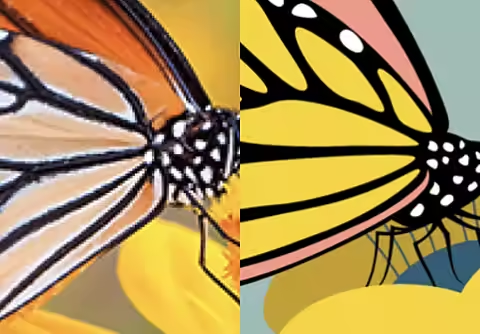 A raster graphic image of a butterfly next to a vector graphic image of a butterfly.