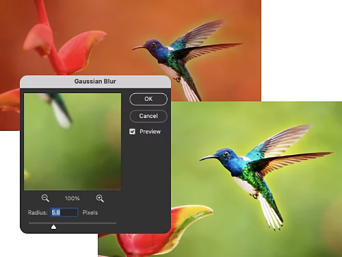 An image of a bird with a blur effect added around the edges.