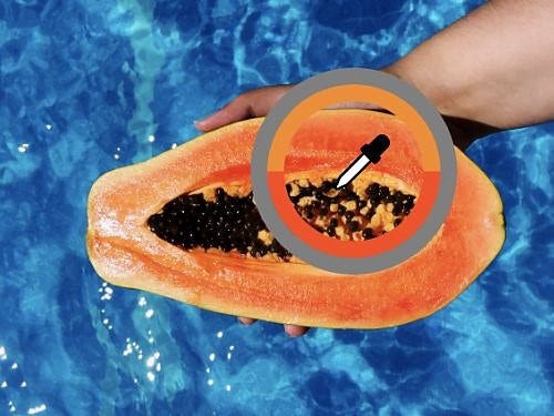 The color pallete of a papaya held over blue water is matched using the Eyedropper tool in Adobe Photoshop